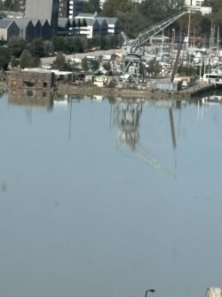 IMG_3642.jpg