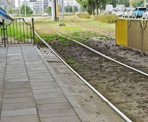 s115.jpg