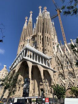 IMG_2782.jpeg
