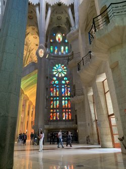 IMG_2784.jpeg