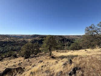 IMG_2624.jpeg