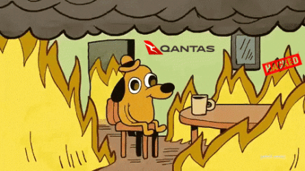 qantas hack this is fine.gif