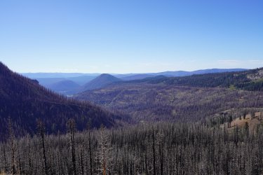 DSC01536.JPG