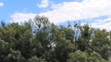 s152.jpg