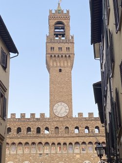 IMG_2399.jpeg