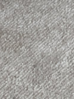 IMG_6652.jpeg