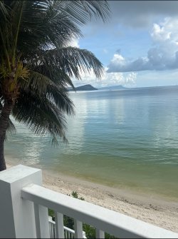 IMG_2228.jpeg