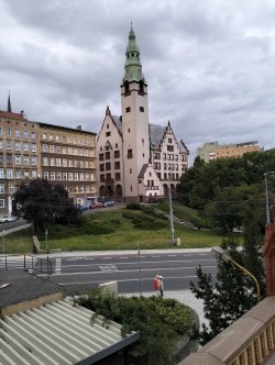 s213.jpg