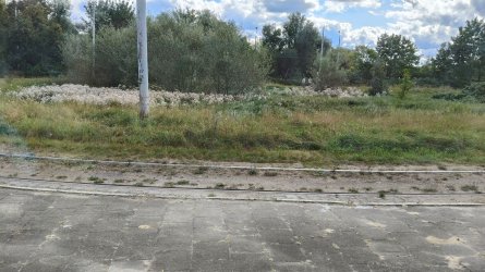 s192.jpg