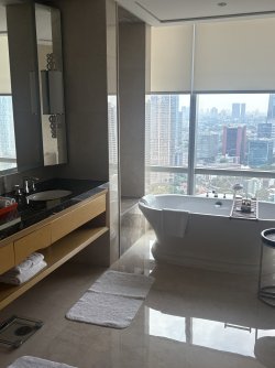 IMG_0915.jpeg