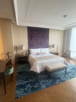 IMG_0917.jpeg