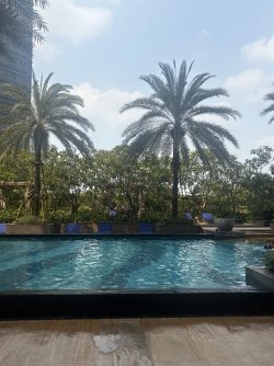 IMG_0946.jpeg