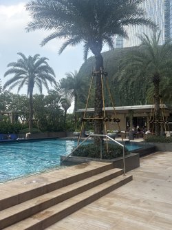 IMG_0947.jpeg