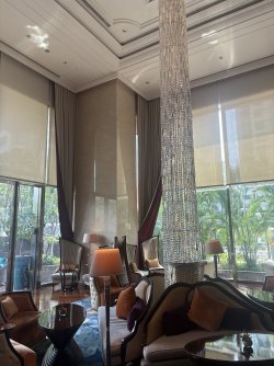 IMG_0958.jpeg