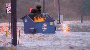 1760440732381.gif
