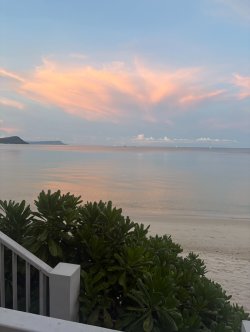 IMG_2231.jpeg