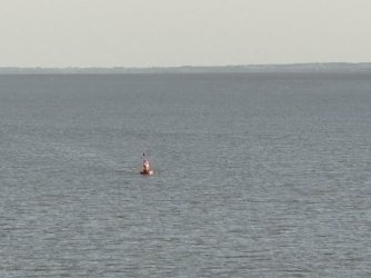 IMG_3675.jpg