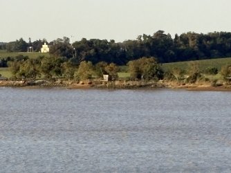 IMG_3676.jpg