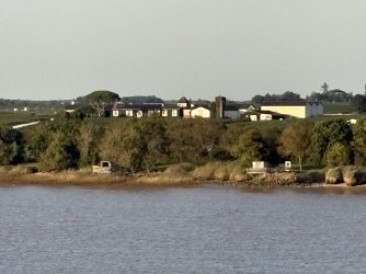 IMG_3677.jpg