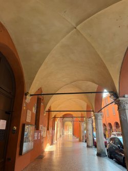 IMG_2730.jpeg