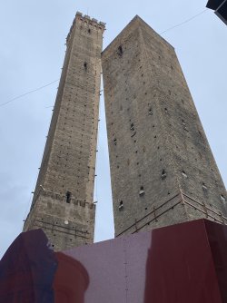 IMG_2649.jpeg