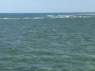IMG_3690.jpg