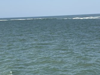 IMG_3691.jpg