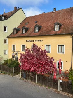 IMG_5145.jpeg