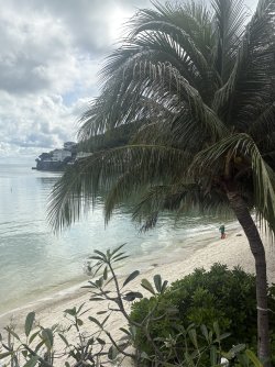 IMG_0992.jpeg