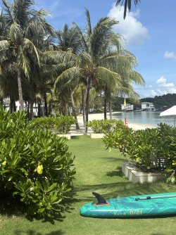 IMG_1011.jpeg