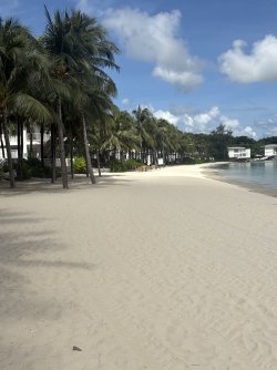 IMG_1014.jpeg