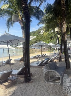 IMG_1022.jpeg