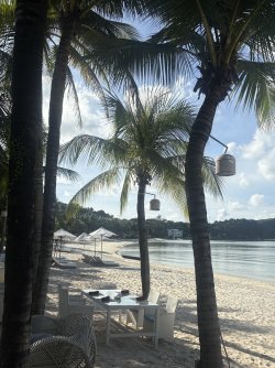 IMG_1023.jpeg