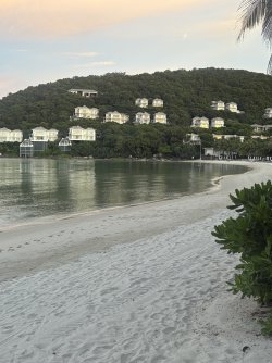 IMG_1029.jpeg