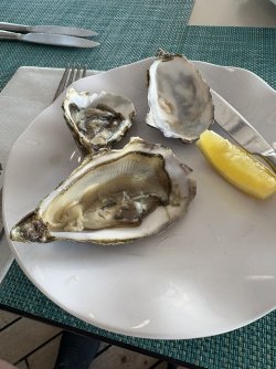 IMG_3694.jpg