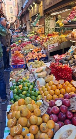 IMG_2735.jpeg