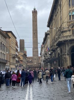 IMG_2662.jpeg