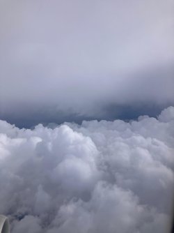 8561b3fa-d73c-4f28-88b9-6bea2d4f2360.jpeg