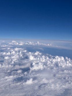 25a58570-4d6e-441b-acfe-05f0380126fc.jpeg