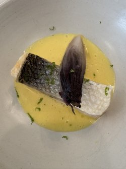 IMG_3739.jpg