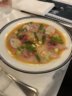 IMG_3977.jpeg