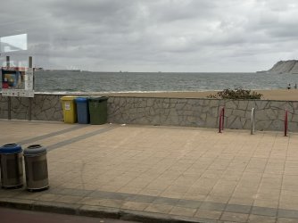 IMG_3771.jpg