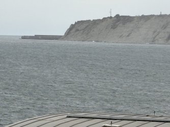IMG_3772.jpg