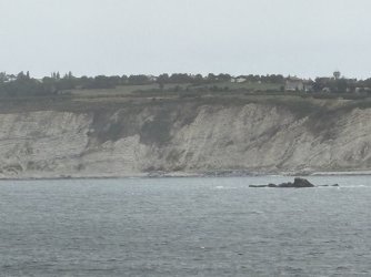 IMG_3773.jpg