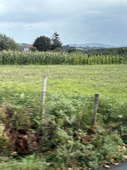 IMG_3805.jpg