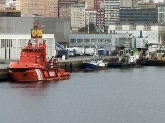 IMG_3878.jpg