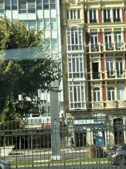 IMG_3884.jpg