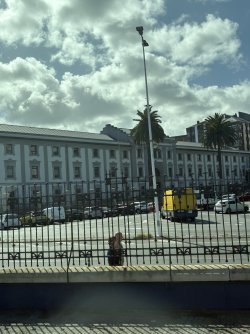 IMG_3887.jpg