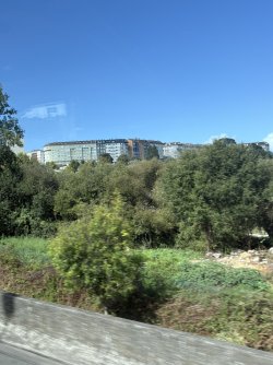 IMG_3888.jpg