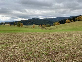 IMG_5279.jpeg